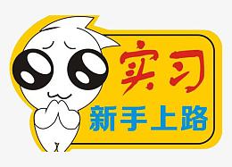 实习车贴