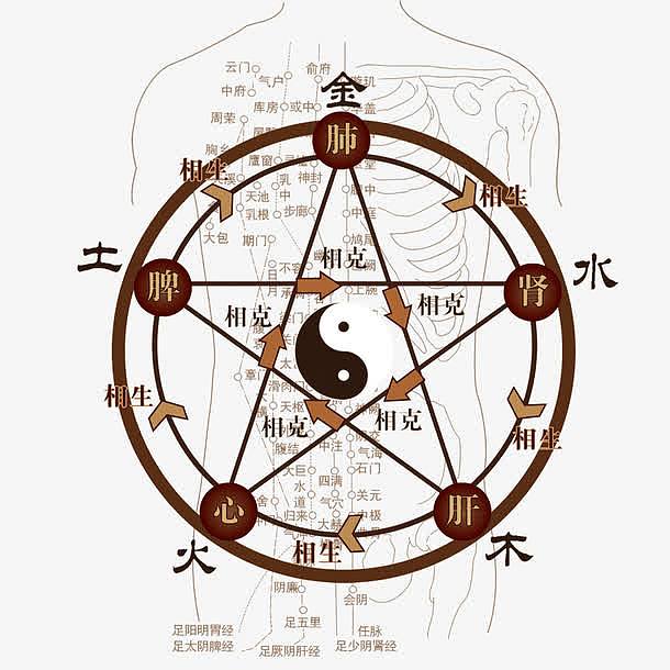 人体八卦图
