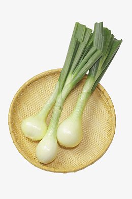 大蒜苗图片