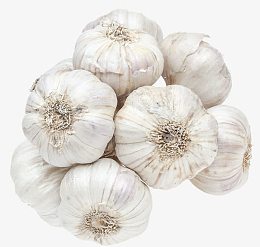 一堆蒜头免抠素材