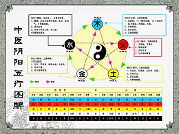 中医阴阳五行图图片