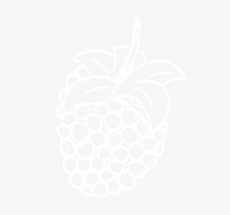 卡通手绘覆盆子