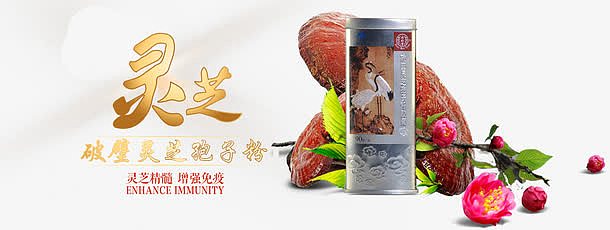 鑫—灵芝孢子粉胶囊banner