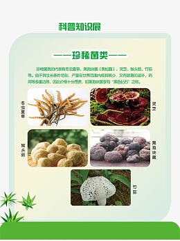 菌类展板图片