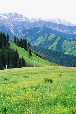 赛里木湖果子沟