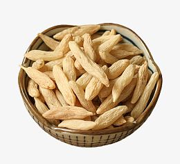 野生麦冬