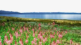 新疆赛里木湖风景