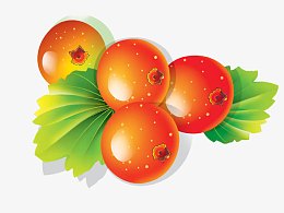 卡通山楂果实
