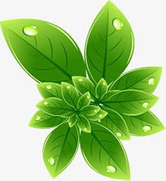 绿色艺术卡通树叶