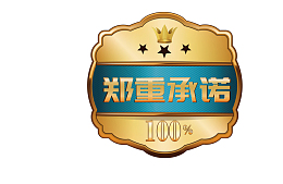 华丽金色郑重承诺矢量图