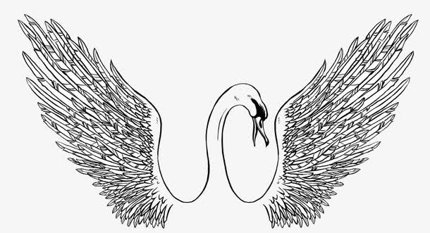 素描天鹅图案
