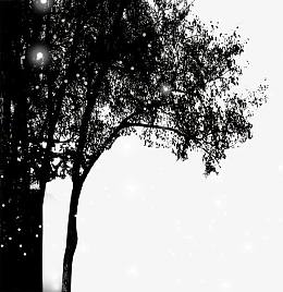 夜晚大树星光