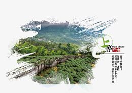 茶叶产地
