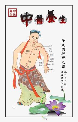 手太阴肺经之图