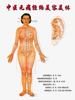 人体经络图