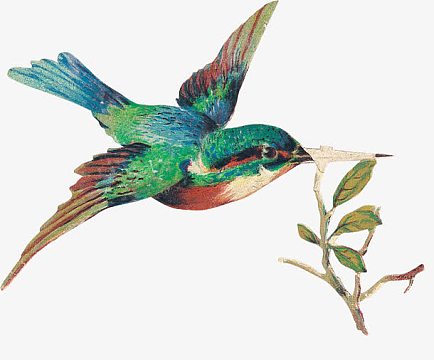 卡通手绘彩色画素材_卡通手绘彩色画图片元素-觅元素