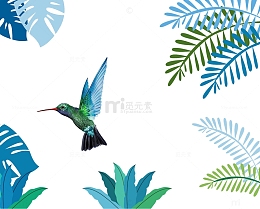 丛林里的鸟
