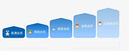 会员等级图标