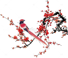 喜上眉梢