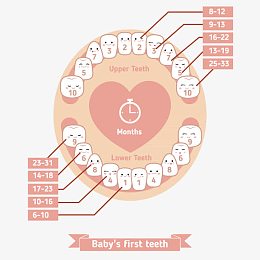 婴儿卡通牙齿