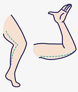 矢量人体局部腿胳膊