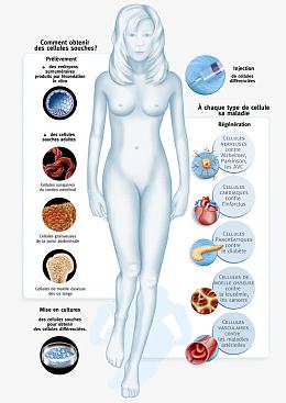生物医疗插图