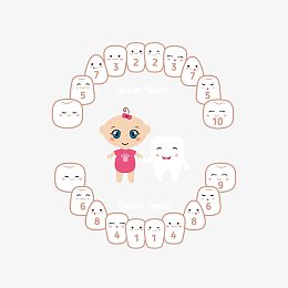 婴儿卡通牙齿