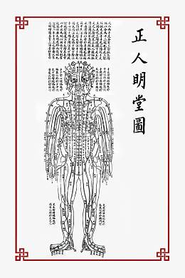 五行人体图图片