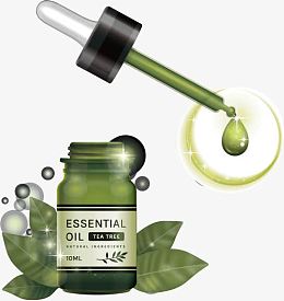 天然茶树油精华液矢量素材