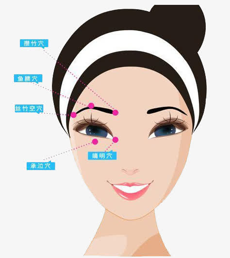 人体面部穴位分布