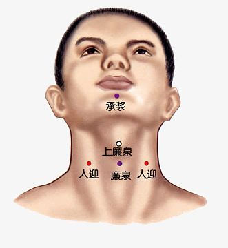 人体正面脖子下巴穴位