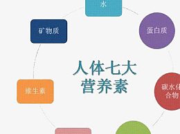 人体七大营养素
