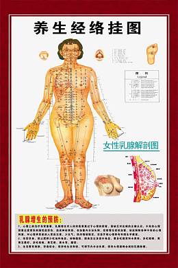 养生美疗经络图