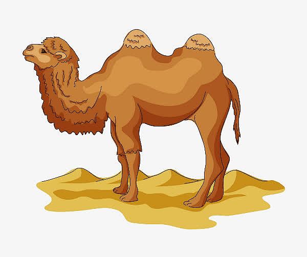沙漠骆驼黄