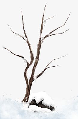 冬天的雪落枯树