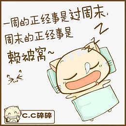 猫咪懒觉