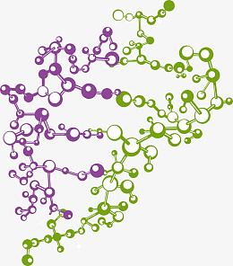 矢量DNA