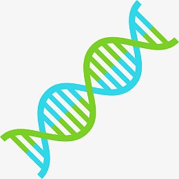 现代简约可爱DNA矢量图
