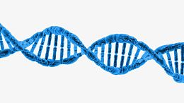 蓝色dna