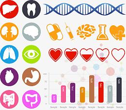 矢量DNA