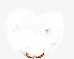 衣服材质棉花