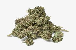 大麻干摄影