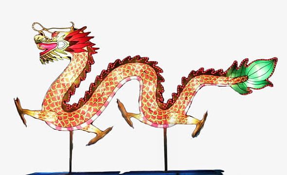龙灯图片