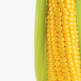 金色玉米
