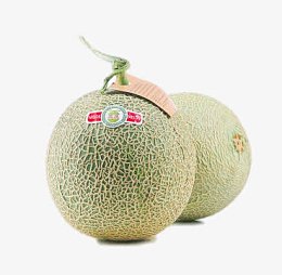 网纹哈密瓜