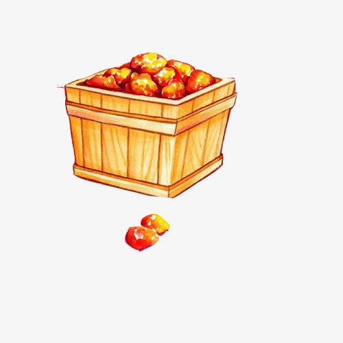 阿胶果手绘画素材图片