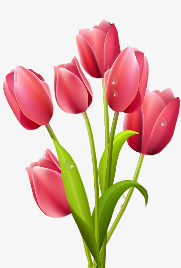 对象暂无授权使用范围仅供学习交流使用blendpng3d手捧鲜花花朵png