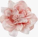 卡通欧美素材手绘欧美 花朵