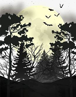 万圣节派对小册子夜晚的森林矢量