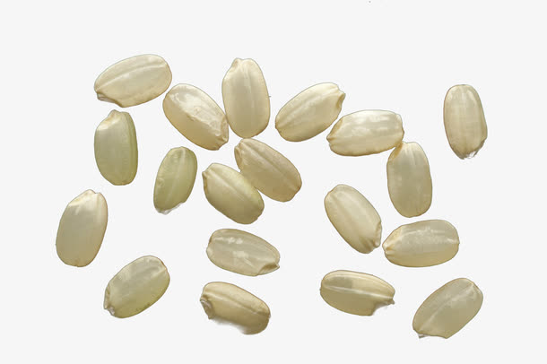 白色米粒免抠素材免费下载_觅元素51yuansu.com